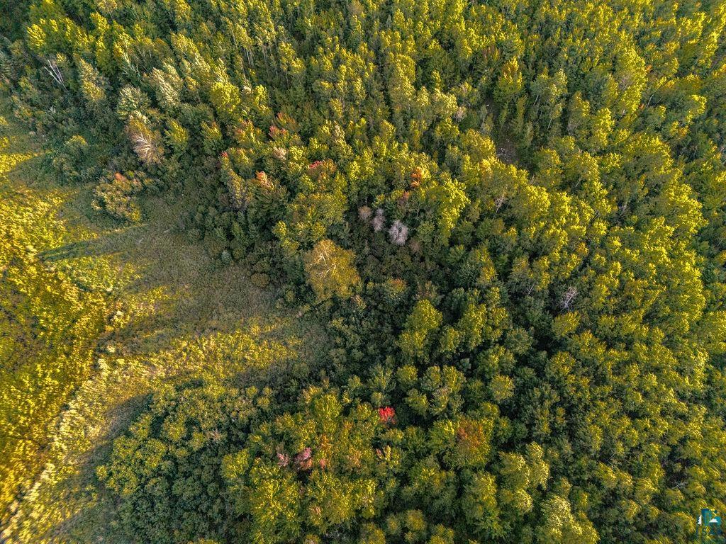 Tbd Crane Lake Road Orr, MN 55771 - Photo 6 of 10 Gallery Image 6