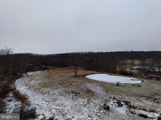 a view of a dry yard with trees