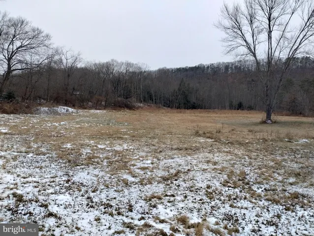a view of an outdoor space and a yard