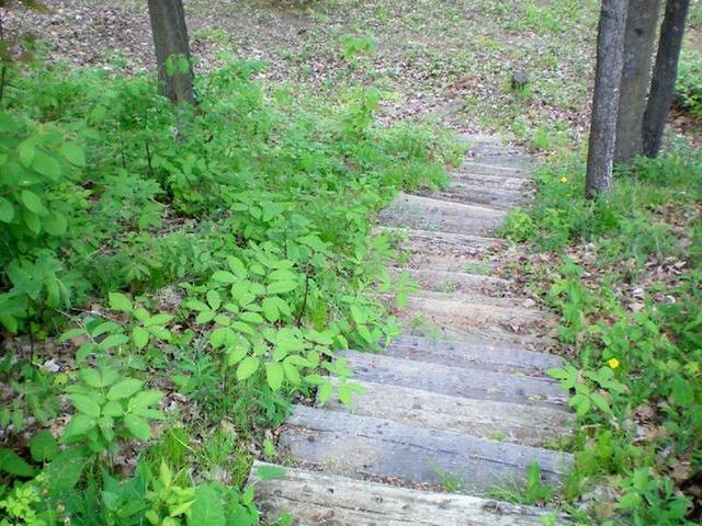 10559 East Rost Lake Road Coleman, WI 54112 - Photo 5 of 6 Gallery Image 5