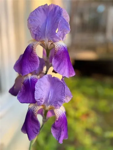 $298,900 | 43 Sandys Lane, Horseheads, NY 14845