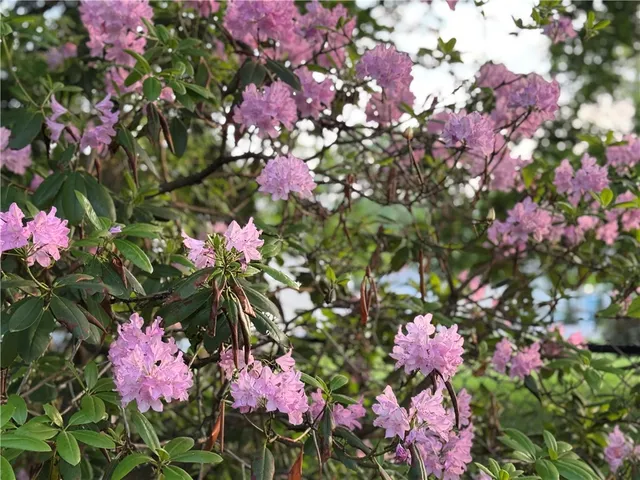 $298,900 | 43 Sandys Lane, Horseheads, NY 14845