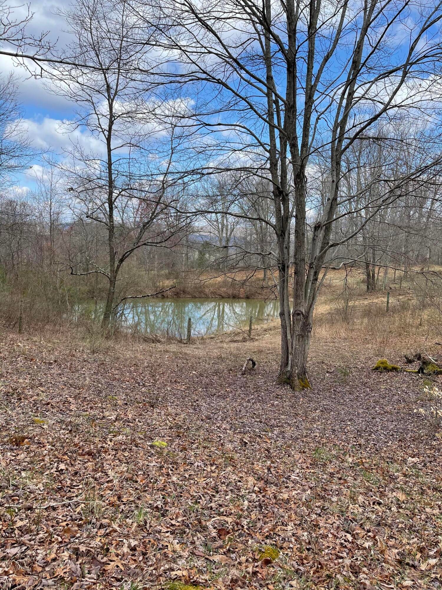 580-680 Fox Trail Road Crawley, WV 24931 - Photo 60 of 69 Gallery Image 60