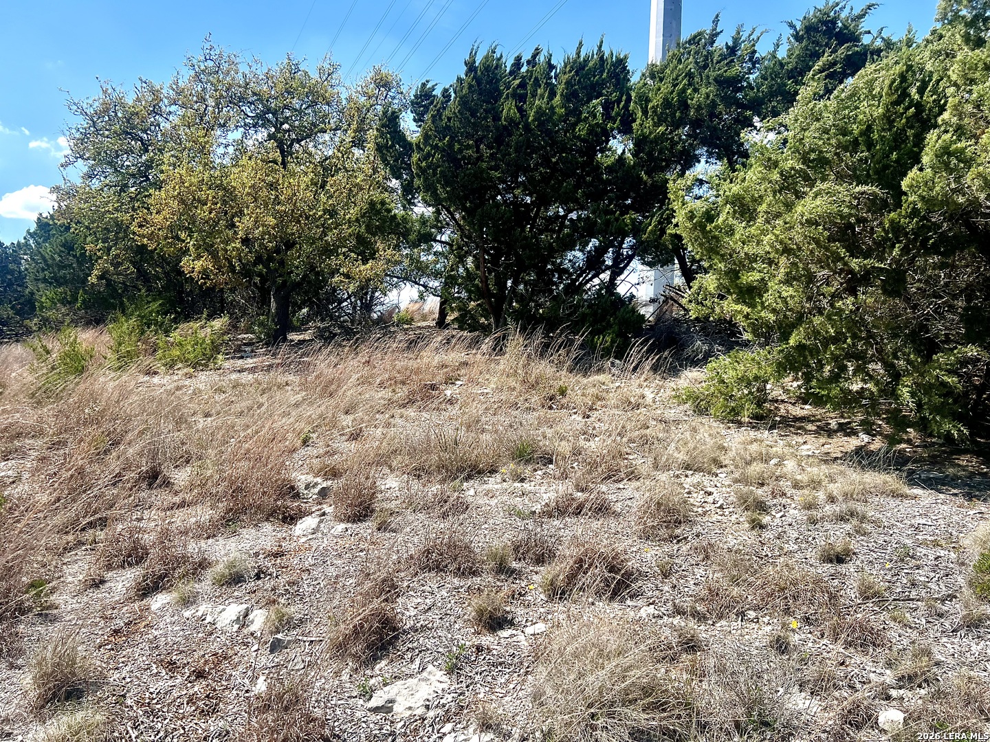 1816 Shepherds Bulverde, TX 78163 - Photo 31 of 32 a view of a yard with plants and trees