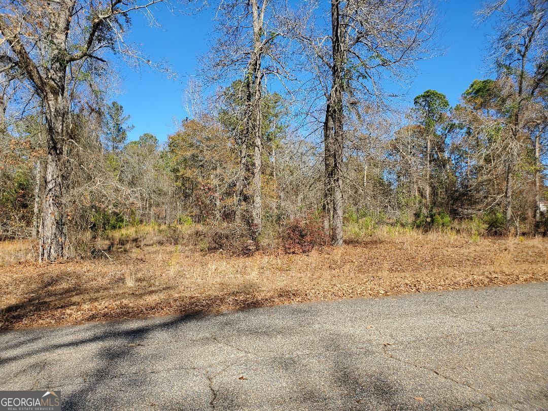0 Tyler Court Fort Valley, GA 31030 - Photo 2 of 4 a view of dirt yard with a large tree
