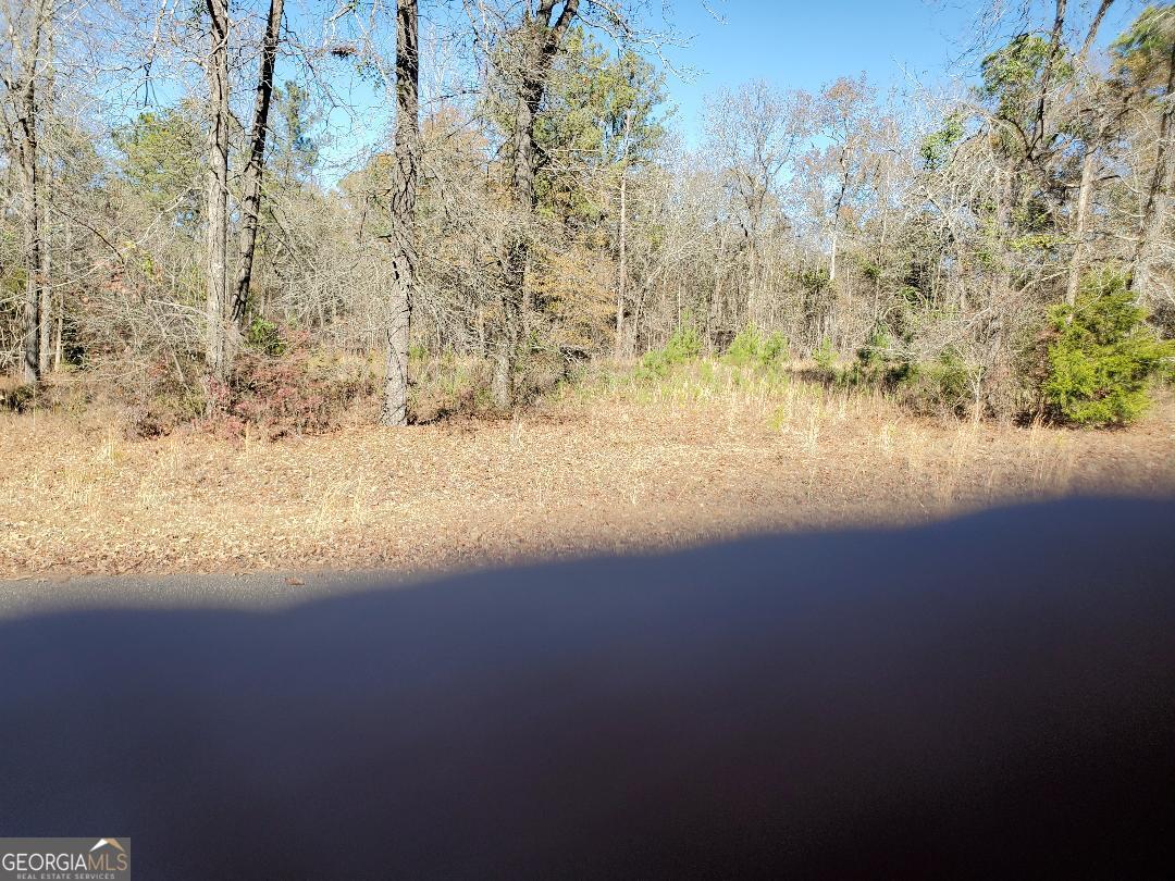 0 Tyler Court Fort Valley, GA 31030 - Photo 3 of 4 a view of beach and yard