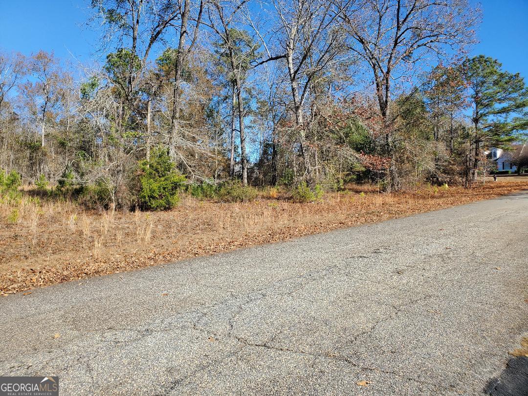 0 Tyler Court Fort Valley, GA 31030 - Photo 4 of 4 a view of dirt yard with a tree