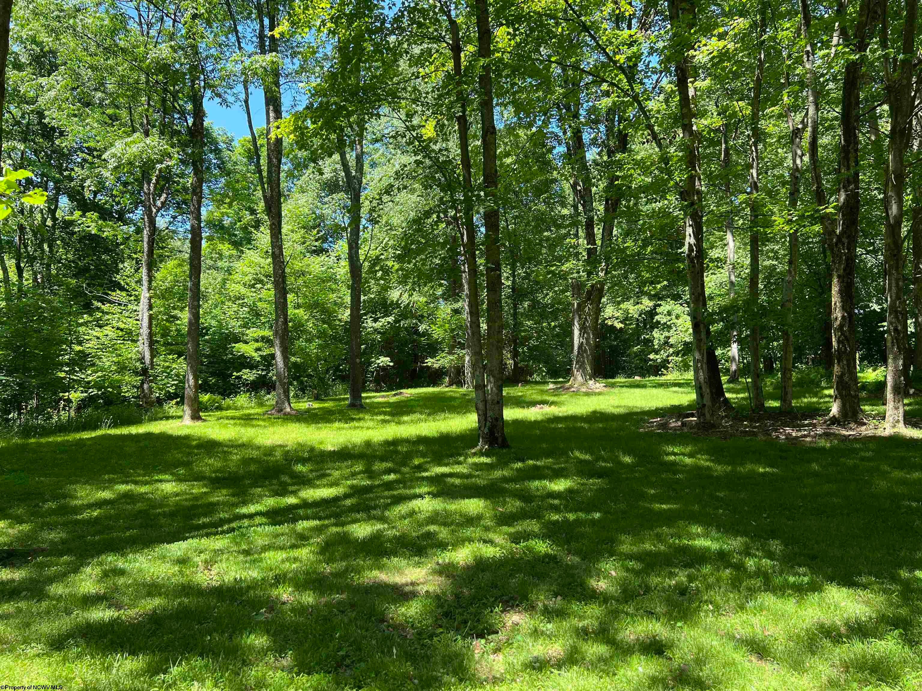 721 Huffman Road Aurora, WV 26705 - Photo 18 of 30 Gallery Image 18