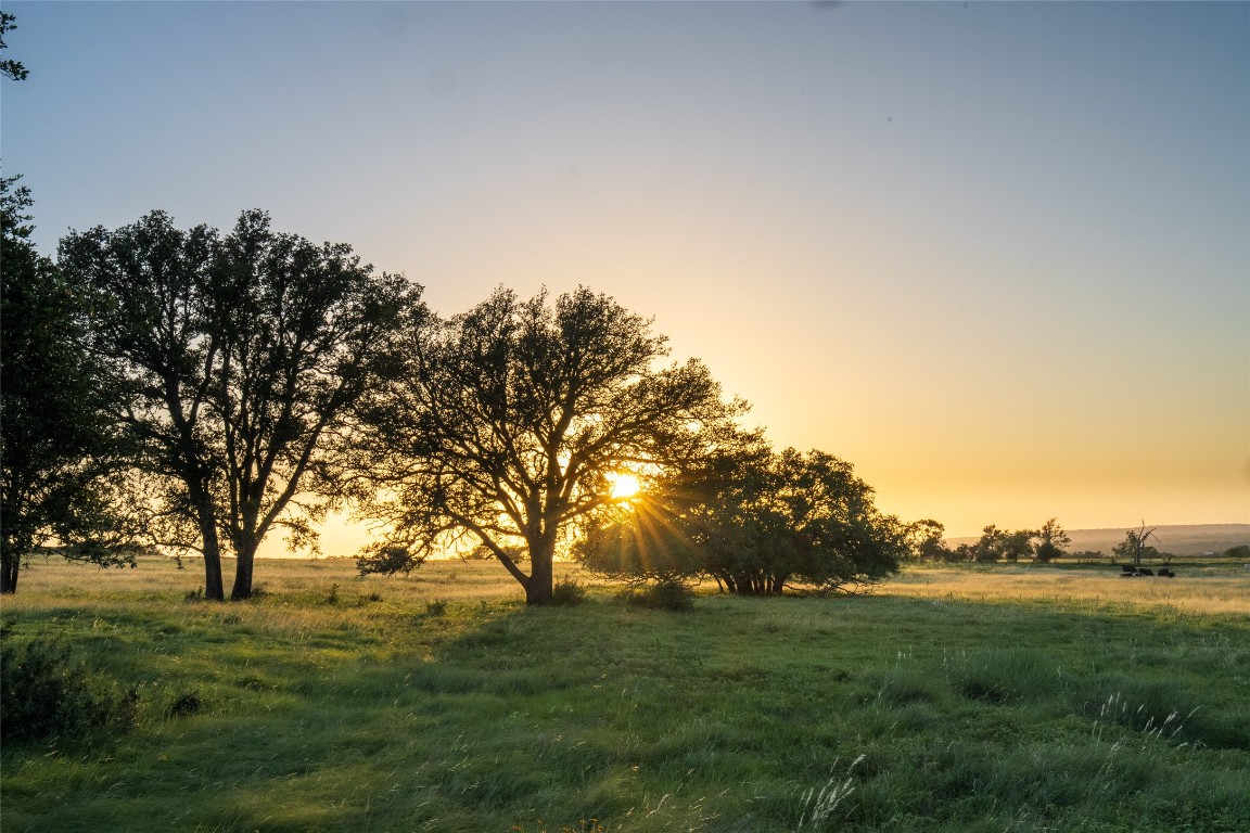 125 Hye Albert Road Hye, TX 78635 - Photo 14 of 39 a yard with trees in the background