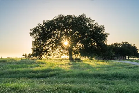 a view of a green field with wooden fence