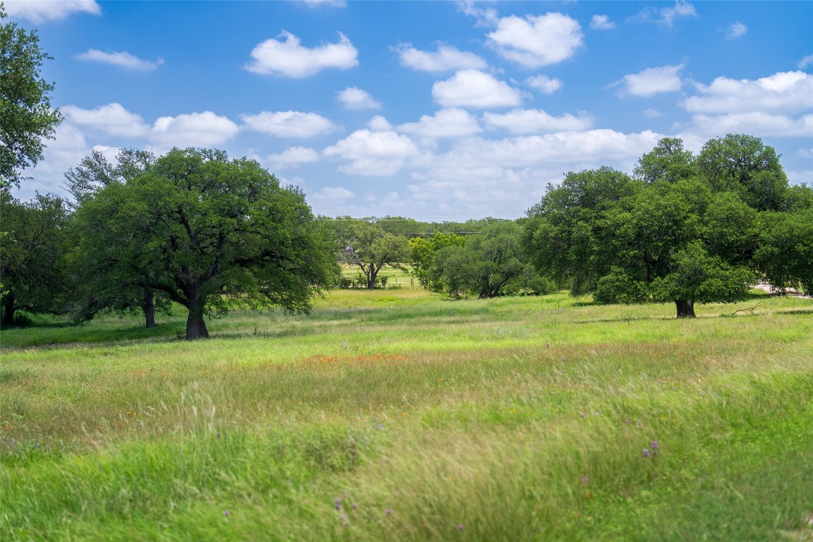 125 Hye Albert Road Hye, TX 78635 - Photo 10 of 39 a view of field with trees in the background