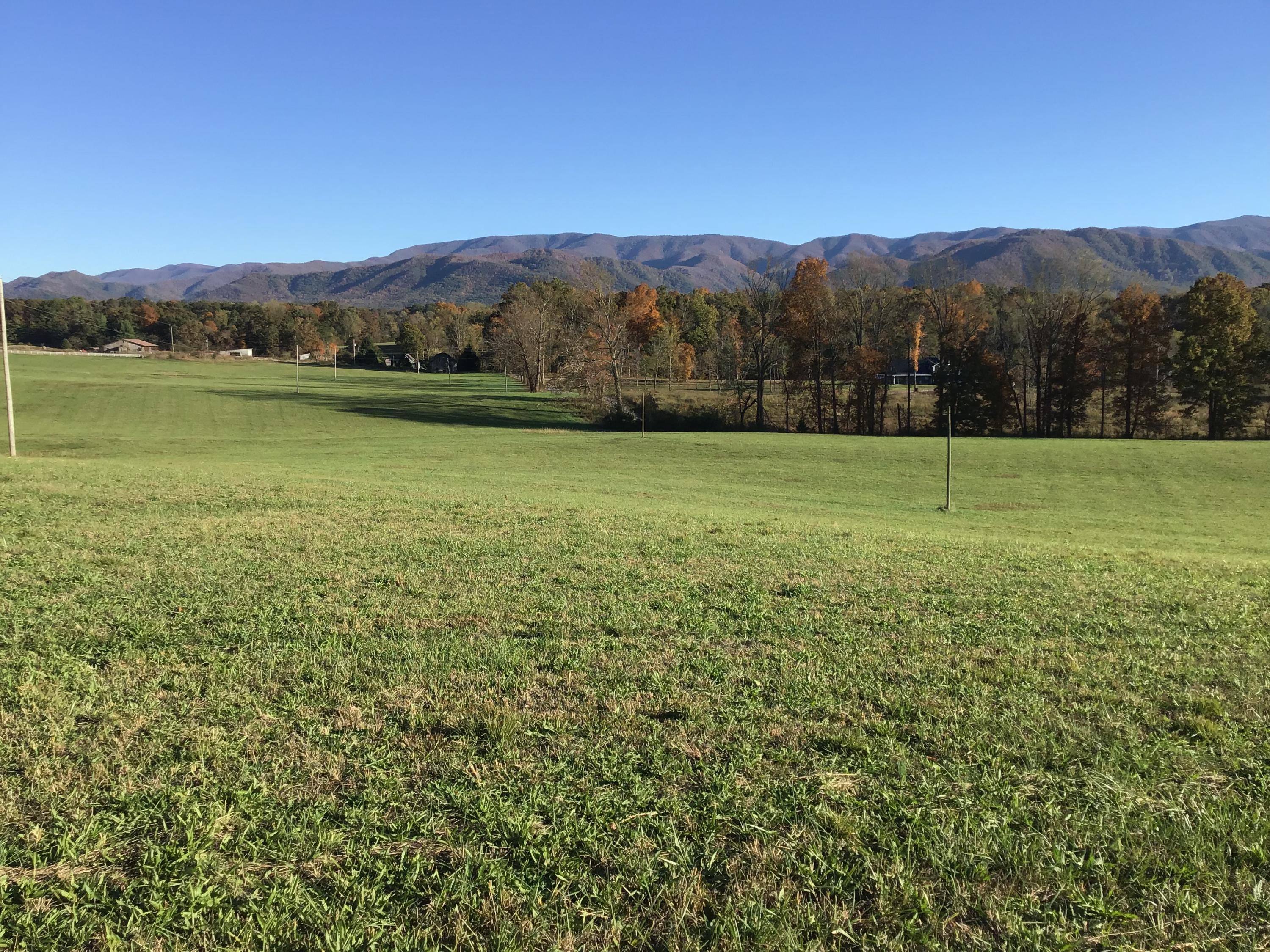 - Jay Fanning Road Afton, TN 37616 - Photo 11 of 22 02BC5A4F-CEC7-4917-8071-8A01CD25CFD4