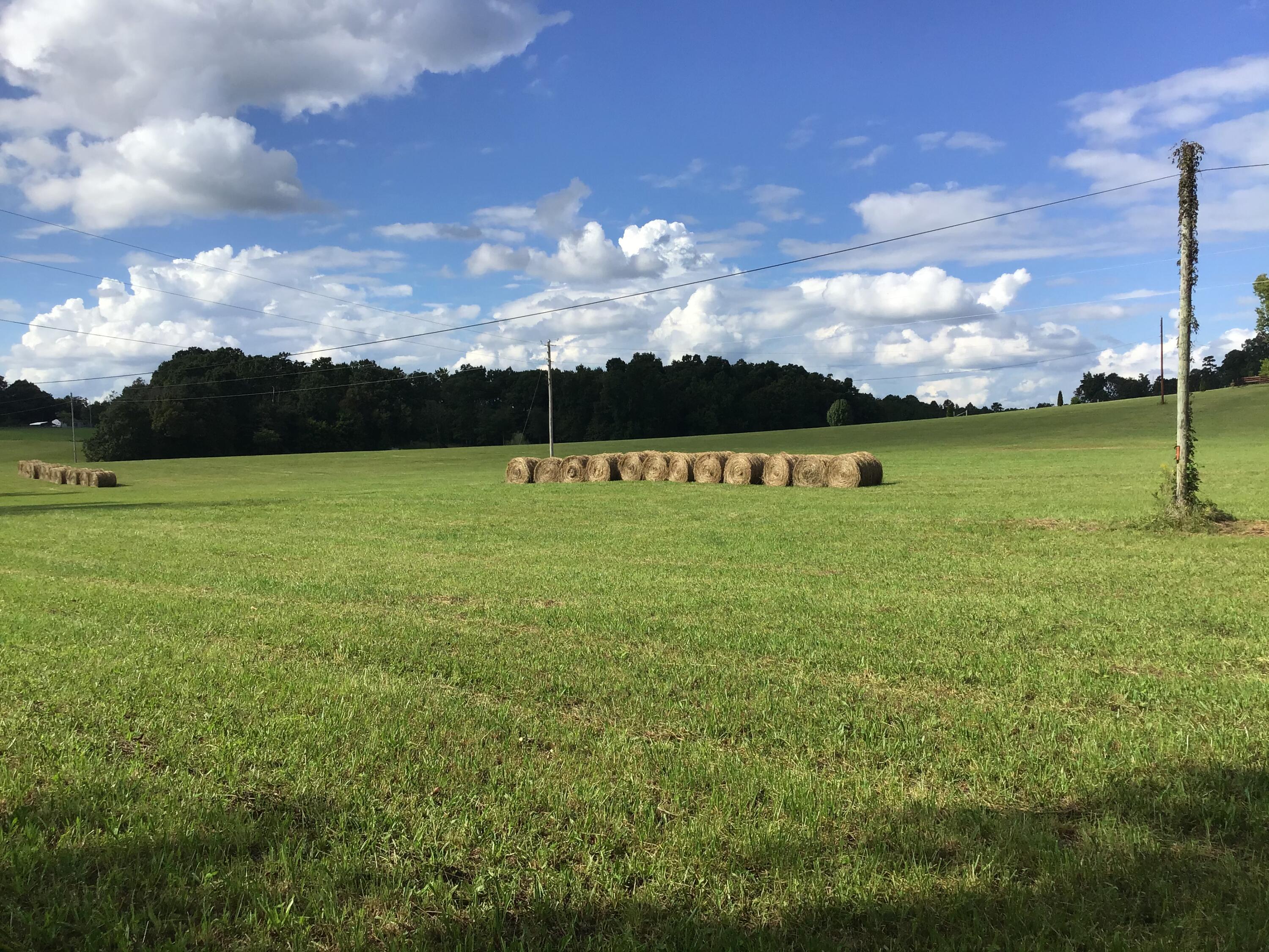 - Jay Fanning Road Afton, TN 37616 - Photo 12 of 22 11E58F9D-AF67-4A76-8BA3-97D76DBD15FF