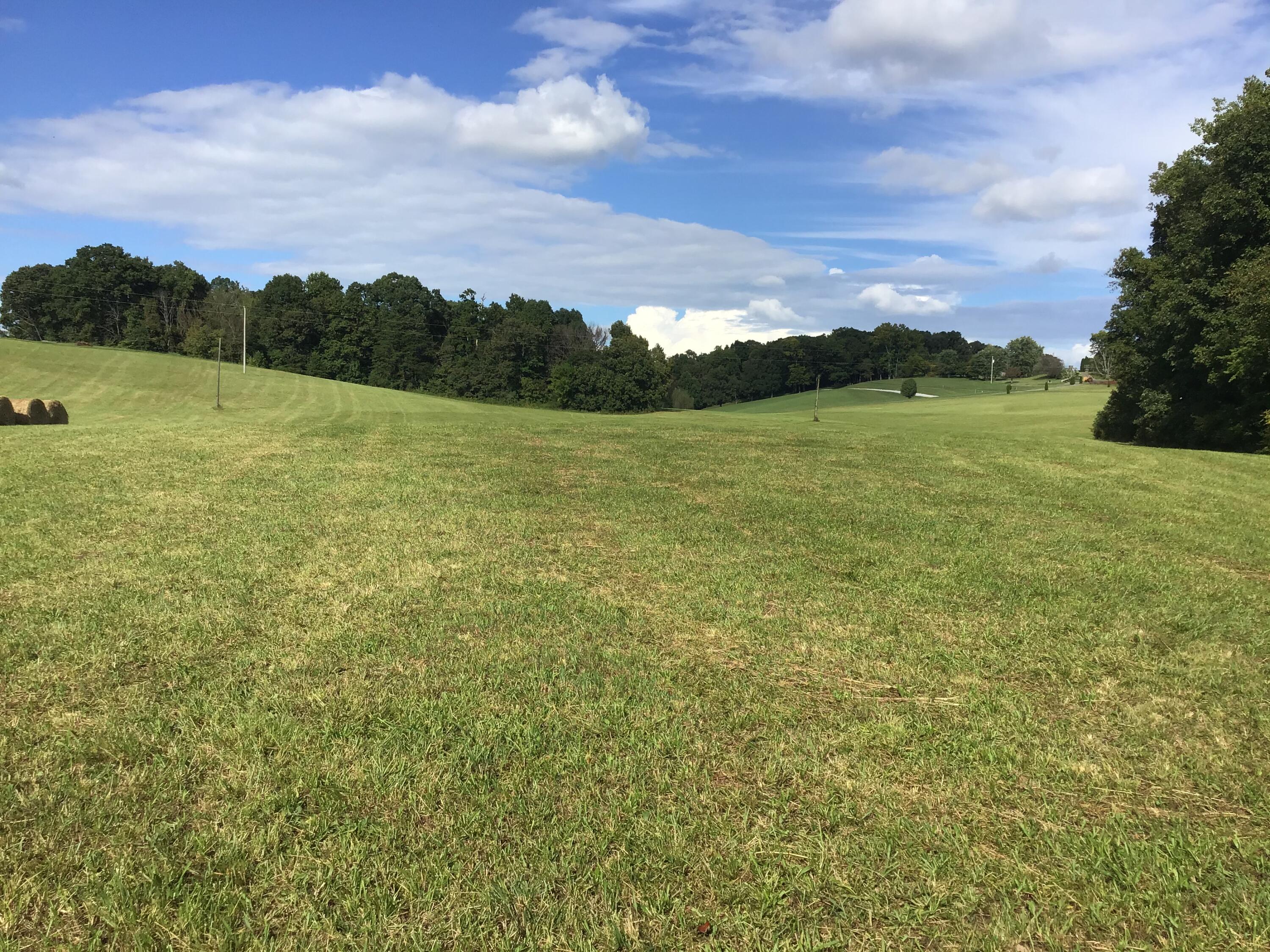 - Jay Fanning Road Afton, TN 37616 - Photo 13 of 22 25224FB4-9611-4773-AE88-6E49FB0B25B4