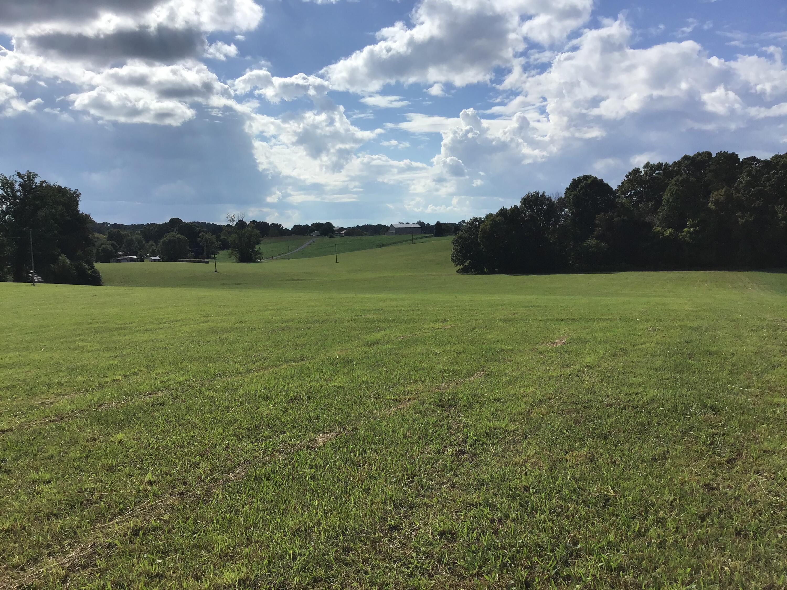 - Jay Fanning Road Afton, TN 37616 - Photo 3 of 22 784A87B4-0F60-4132-A1BC-96ABA8545C98