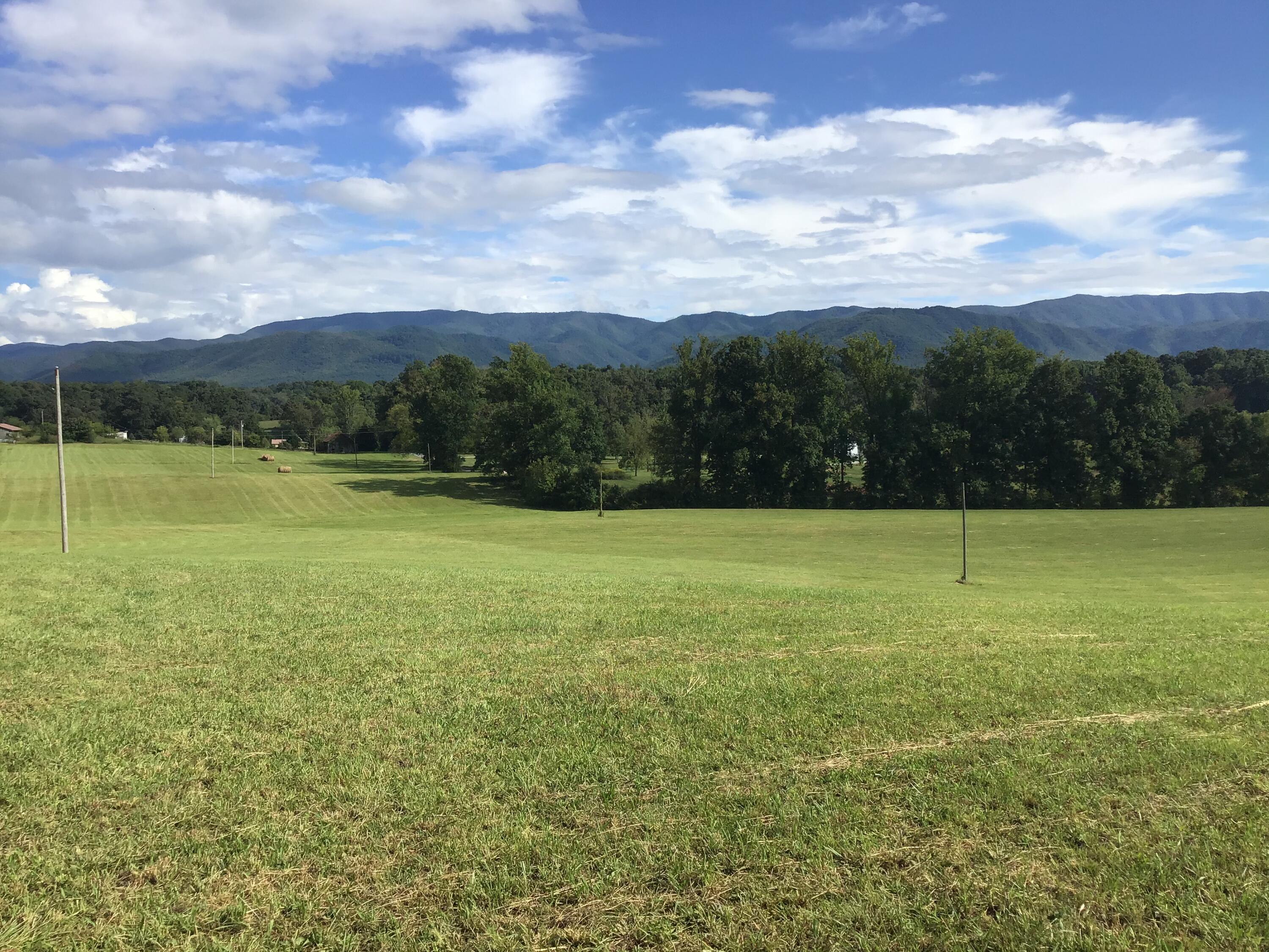 - Jay Fanning Road Afton, TN 37616 - Photo 5 of 22 202B7479-66A4-4595-AA76-C29E9EF1EDCB