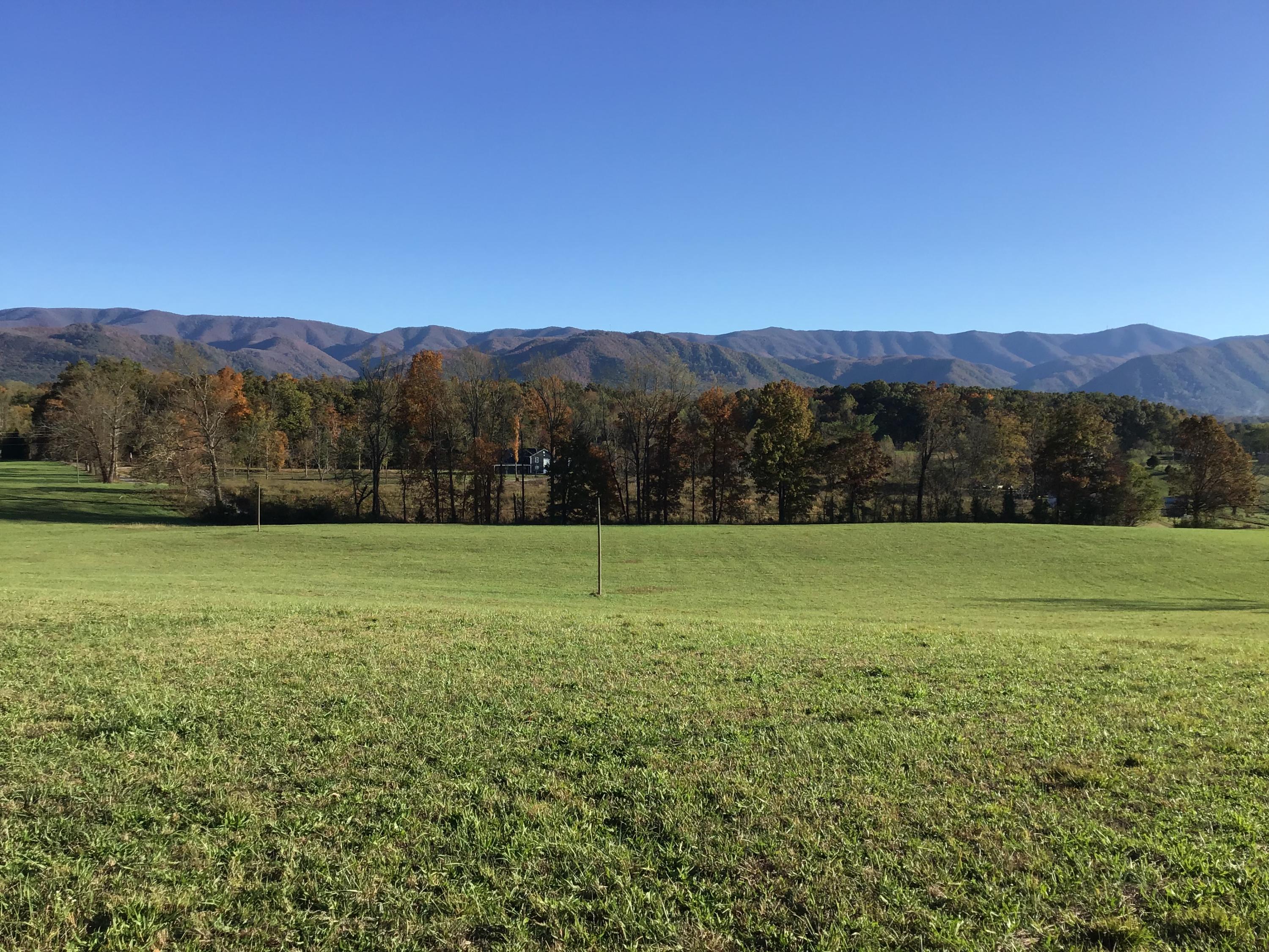 - Jay Fanning Road Afton, TN 37616 - Photo 6 of 22 F023959E-2032-4E0D-B180-286FBE8AC52A