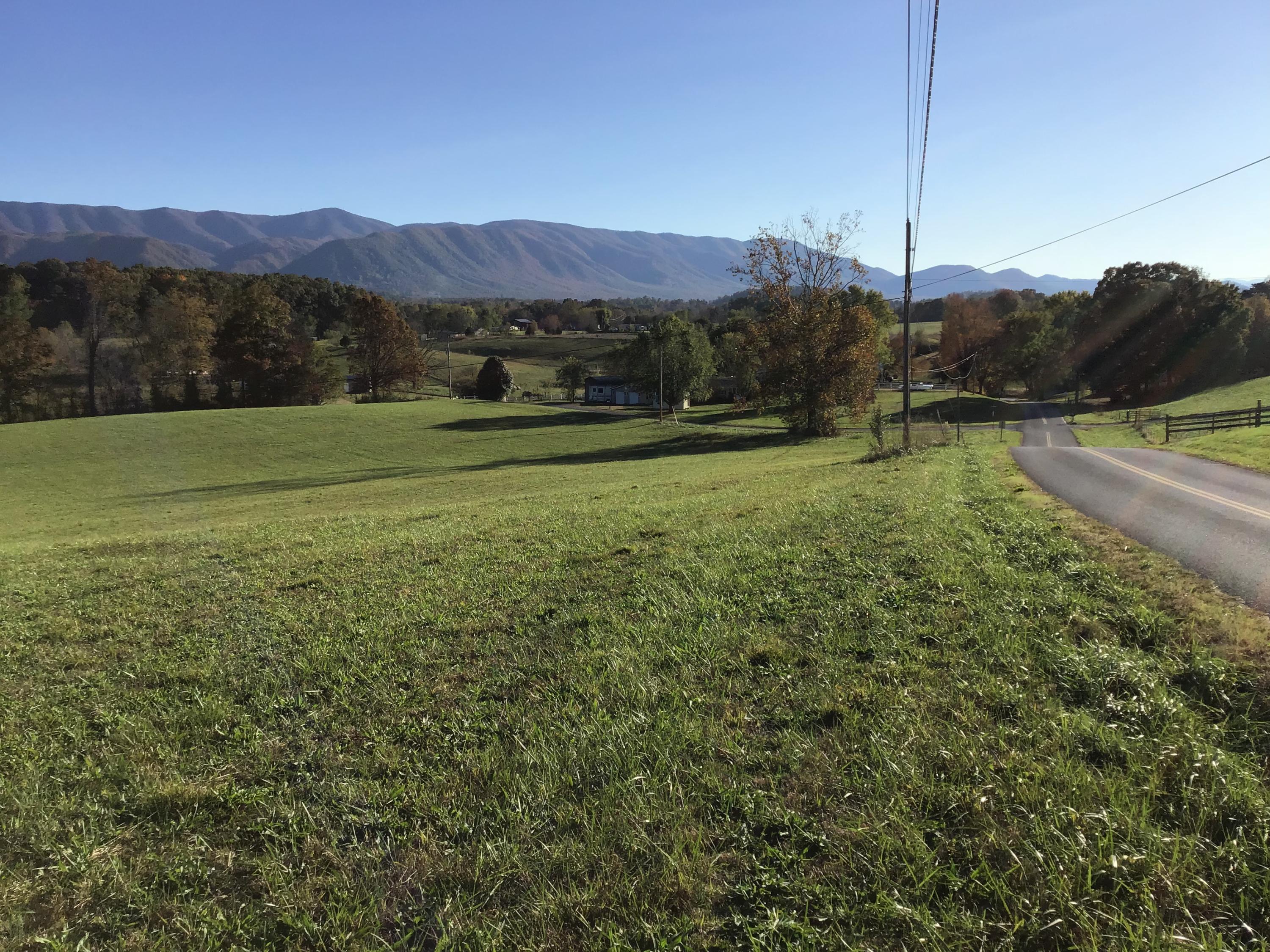 - Jay Fanning Road Afton, TN 37616 - Photo 9 of 22 EDAF47C2-A6FD-4A50-A980-C7940D2C2242