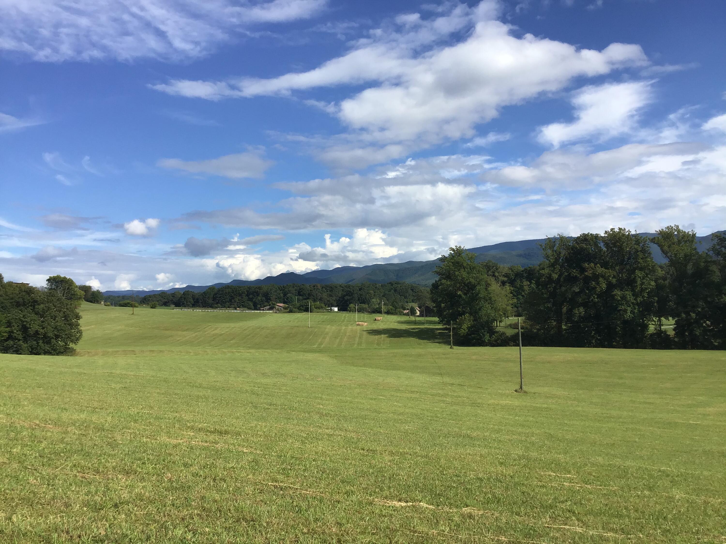 - Jay Fanning Road Afton, TN 37616 - Photo 10 of 22 1BCEBE30-2965-4396-95AF-1703D62ED5E6