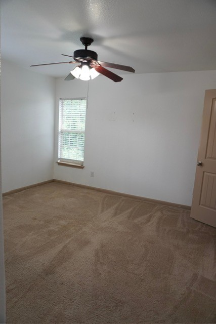 20319 Little Wing Drive Spring, TX 77388 - Photo 29 of 32