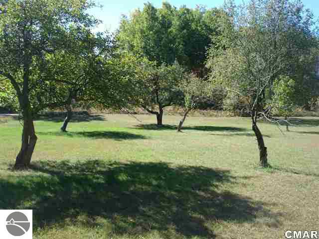 11060 Cook Avenue Lake, MI 48632 - Photo 25 of 25