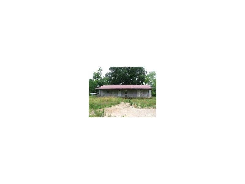 2175 County Road 41 Ranburne, AL 36273 - Photo 1 of 1 Exterior Front.