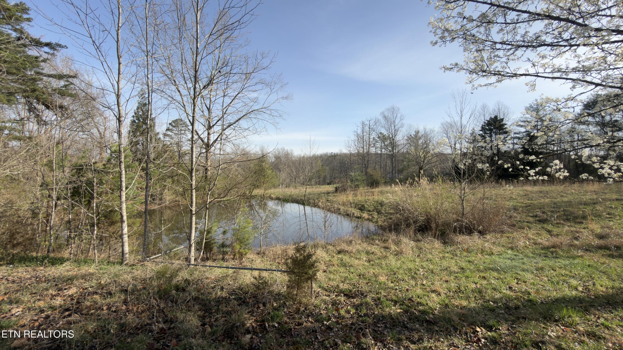 577 Blizzard Mines Road Harriman, TN 37748 - Photo 32 of 41 Gallery Image 32