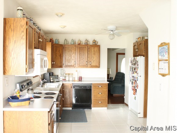 15700 State Rte 4 Auburn, IL 62615 - Photo 3 of 12