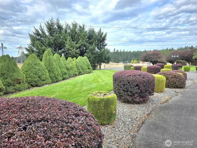 a view of a swimming pool