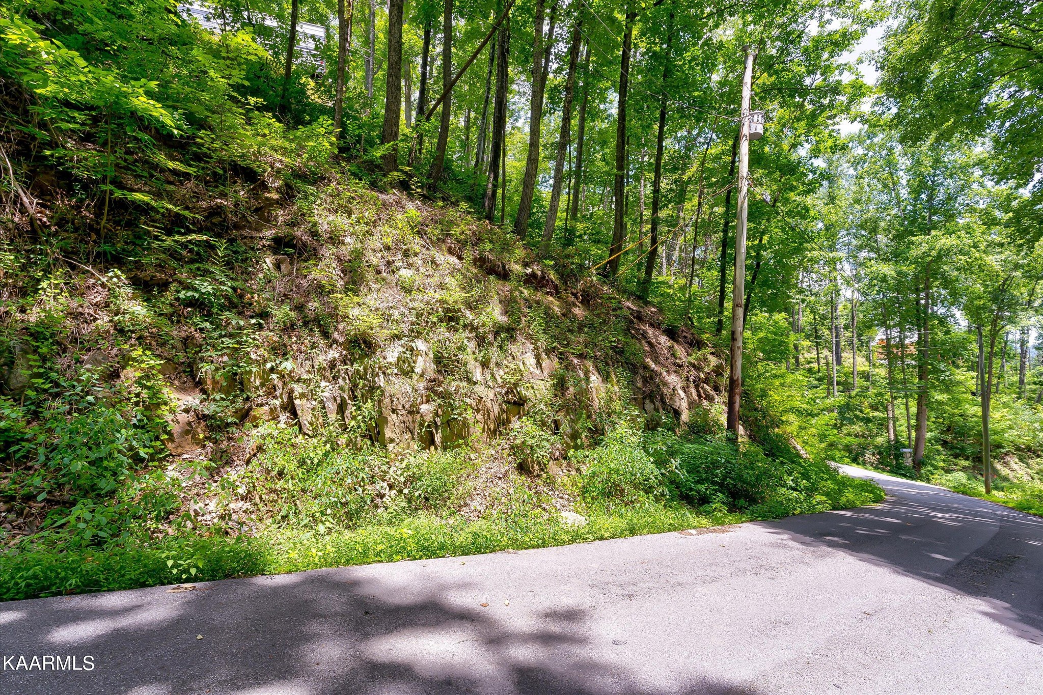 510 Crooked Ridge Road Gatlinburg, TN 37738 - Photo 3 of 30 Gallery Image 3