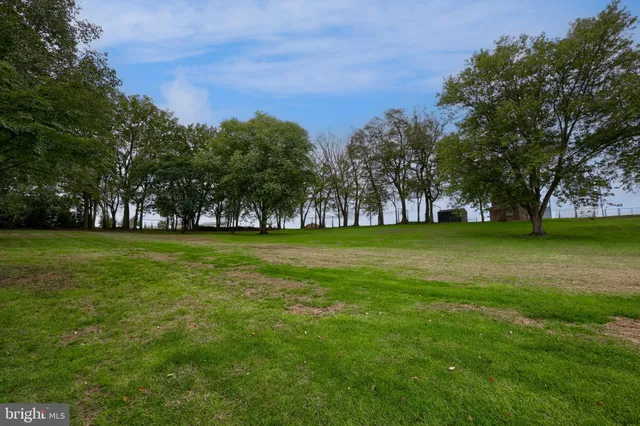a view of a grassy field with trees