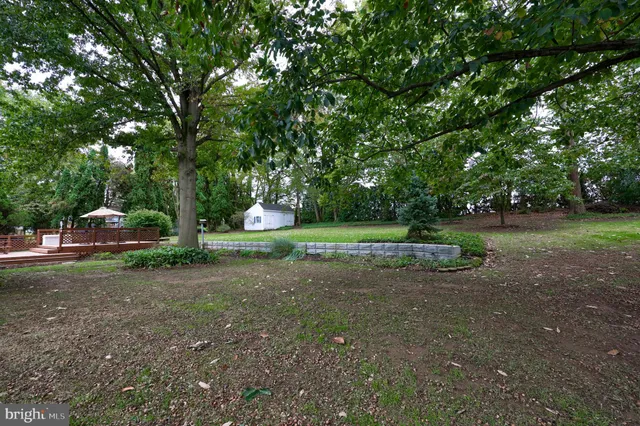 a view of a small house with a yard and large trees