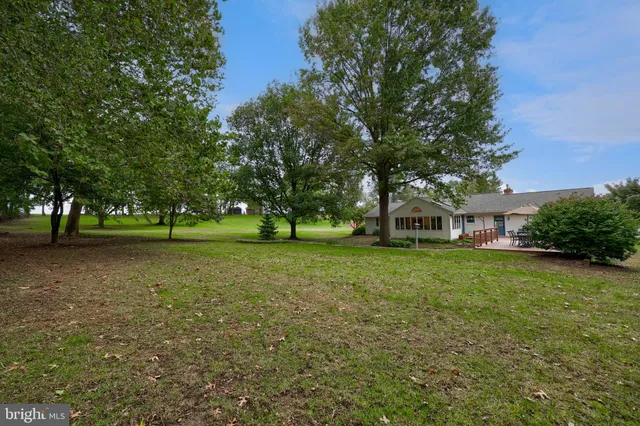 a view of a house with yard and a tree