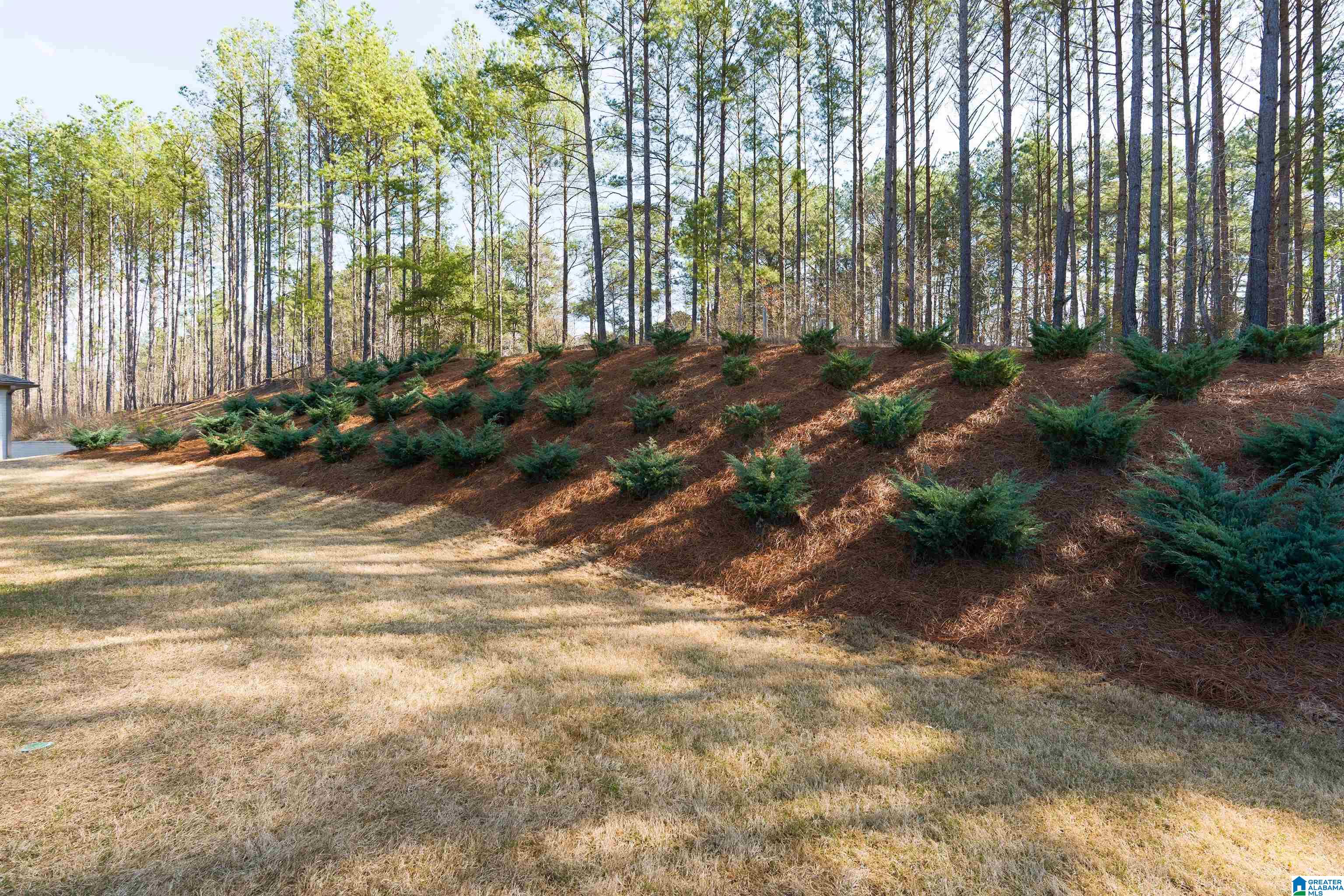 1269 Chelsea Pk Trail Chelsea, AL 35043 - Photo 38 of 43