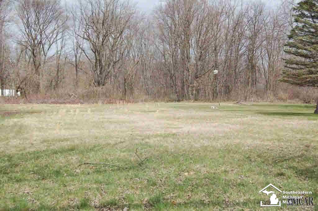 0 Pickard Road Temperance, MI 48182 - Photo 6 of 8