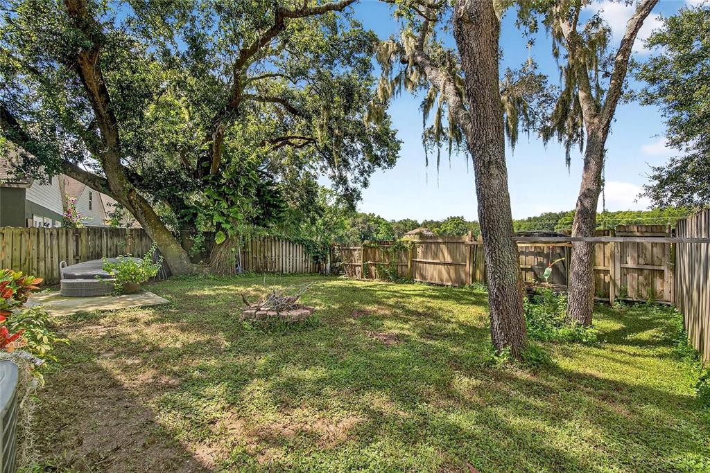 630 Cape Cod Circle Valrico, FL 33594 - Photo 40 of 48 a view of a yard with a tree