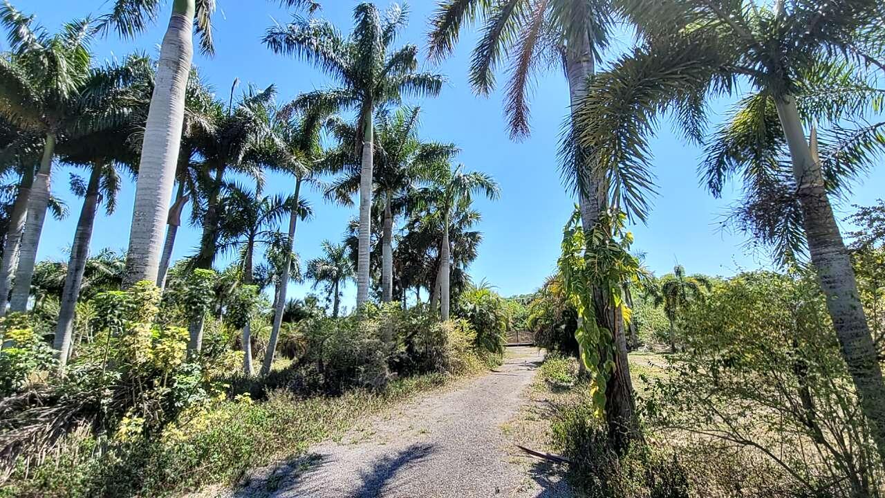 4095 Windmill Road Loxahatchee, FL 33470 - Photo 2 of 16 02_beyc6a33e8fe4392c