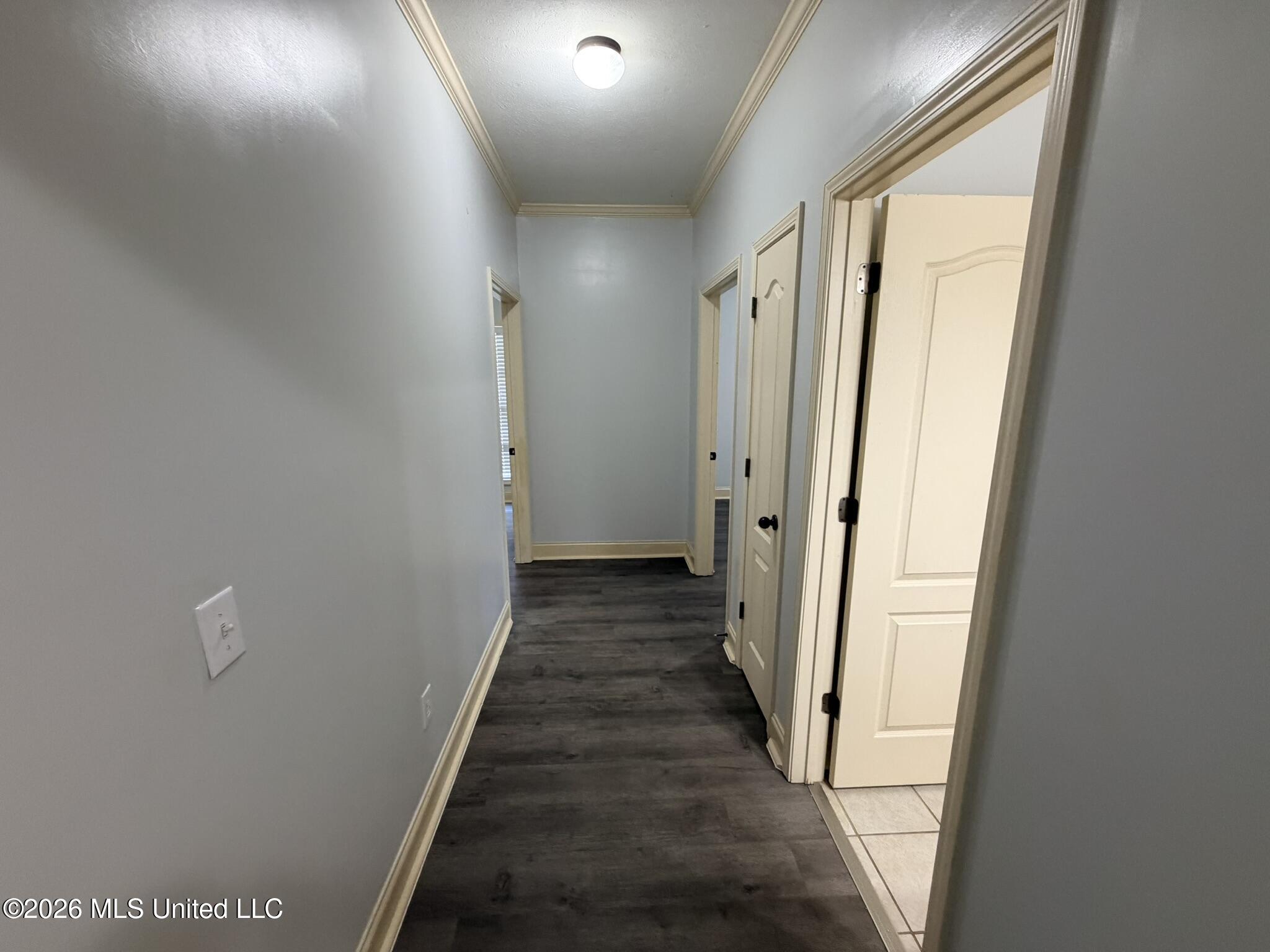 224 Jack's Place Brandon, MS 39047 - Photo 14 of 20 IMG_8434