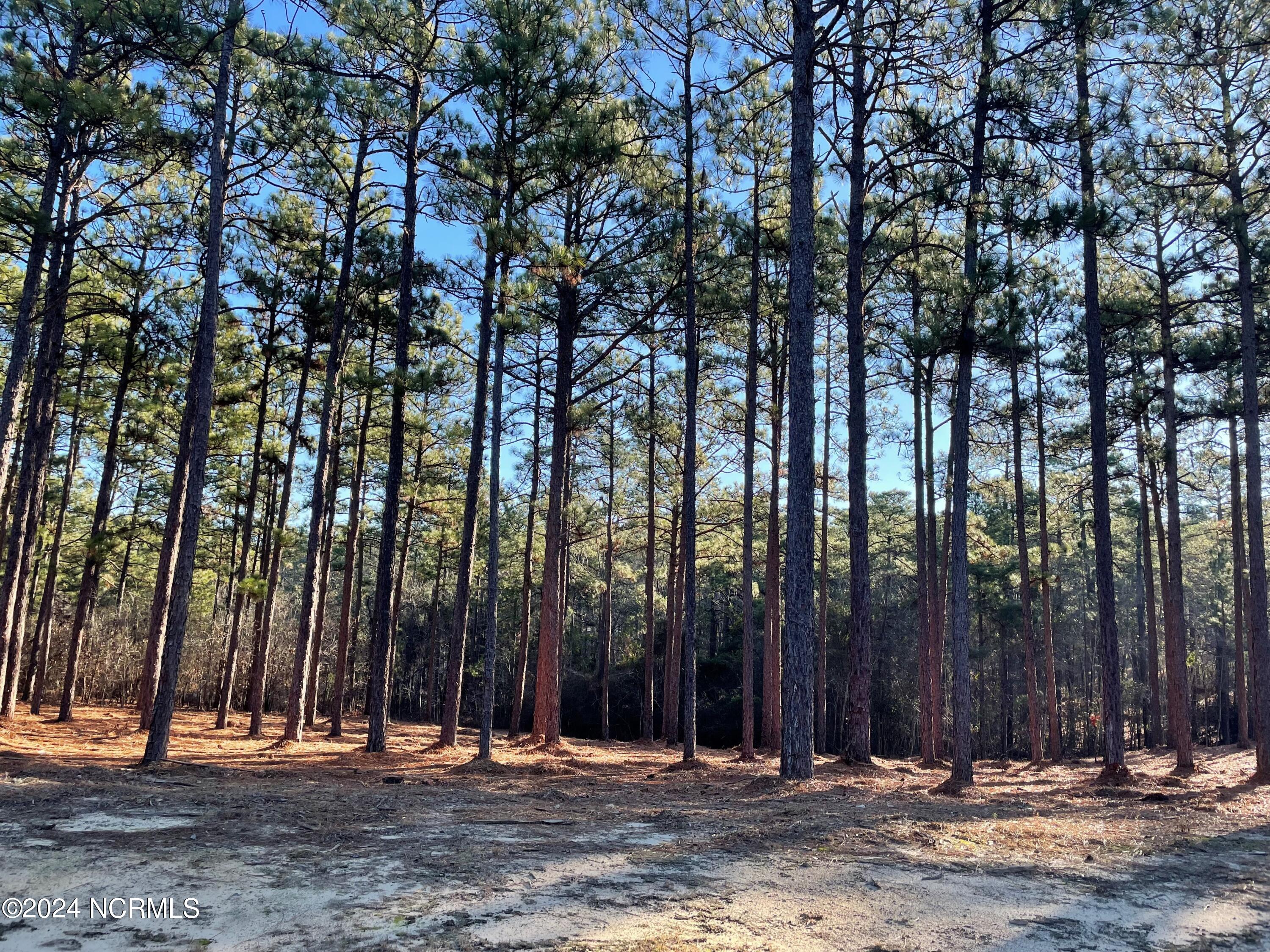 101 Haddington Drive Pinehurst, NC 28374 - Photo 2 of 16 View