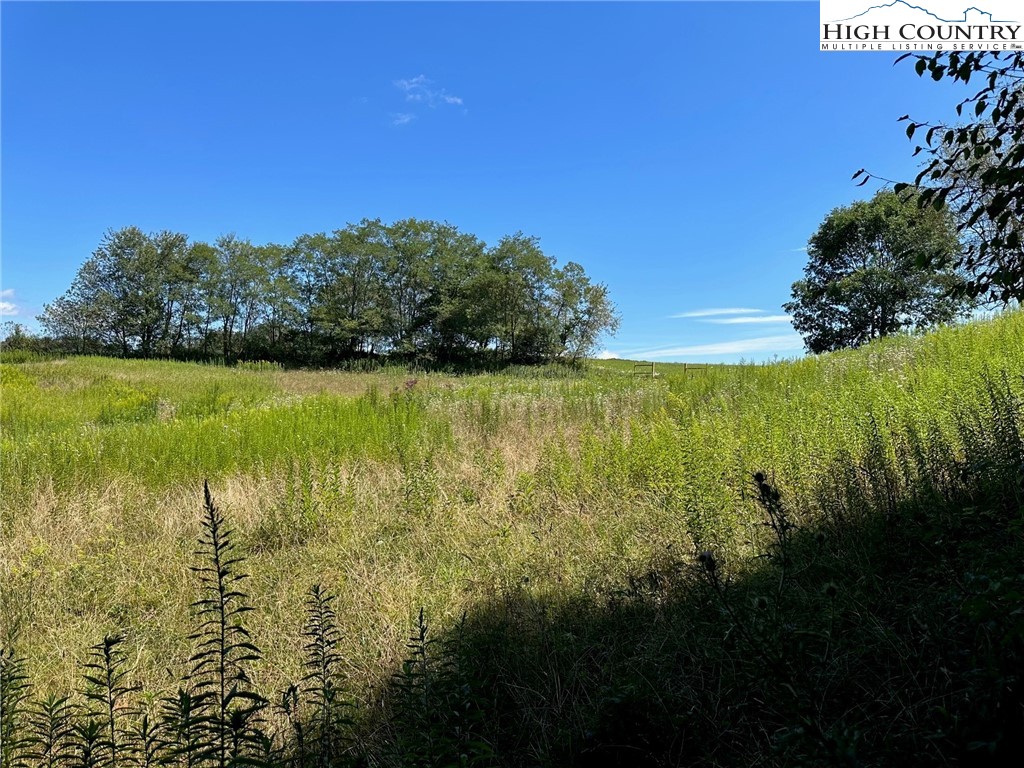 Lot 2 Signature Ridge Road Banner Elk, NC 28604 - Photo 4 of 4 a view of an ocean from a yard