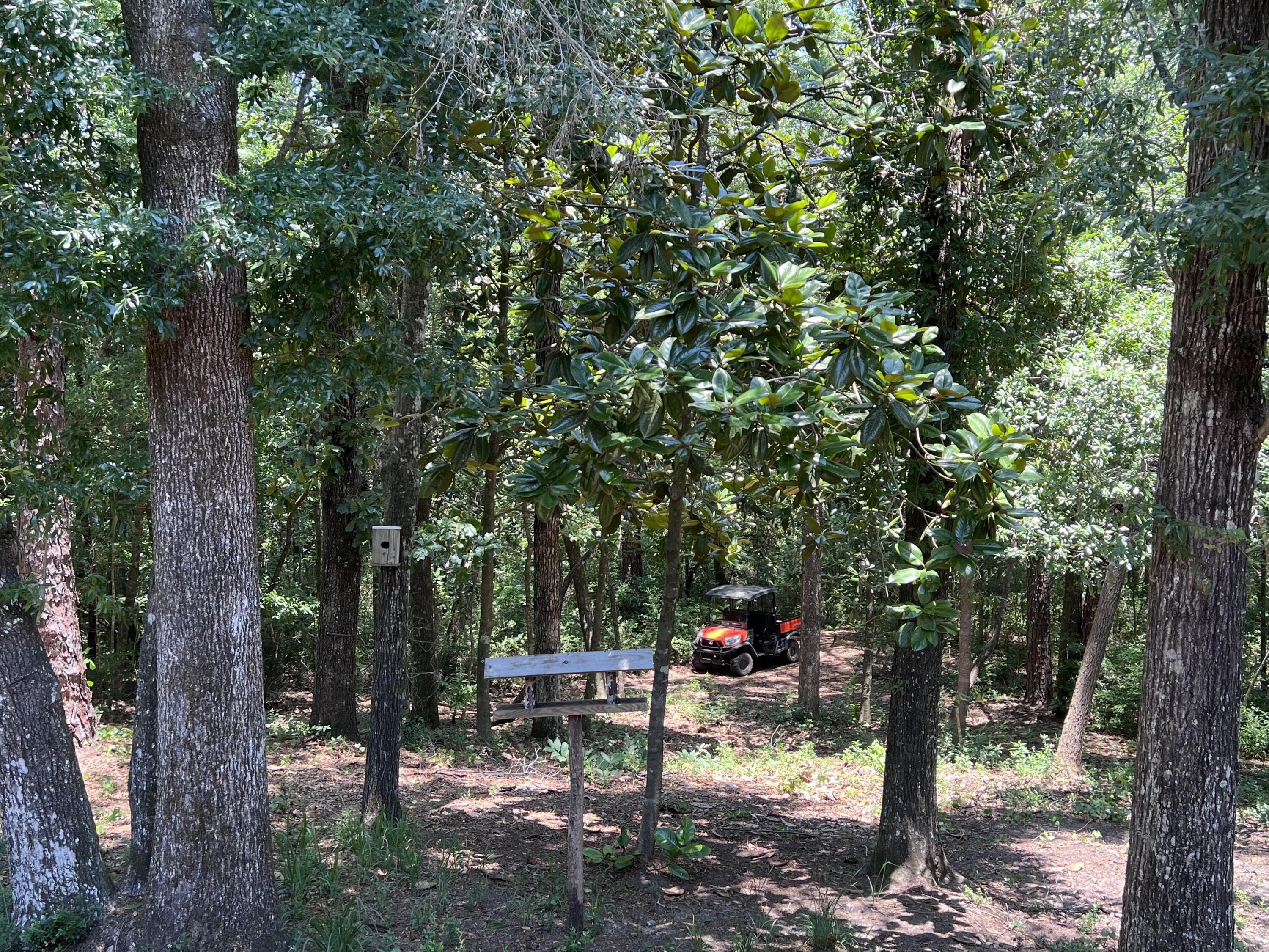 5603 Kervin Road Crestview, FL 32539 - Photo 36 of 78 Into the Trails