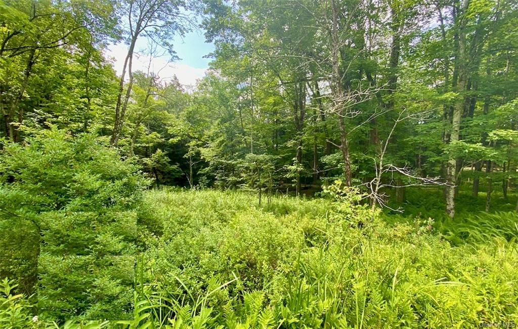 129 Renner Road Fallsburg, NY 12733 - Photo 1 of 3 a view of a garden