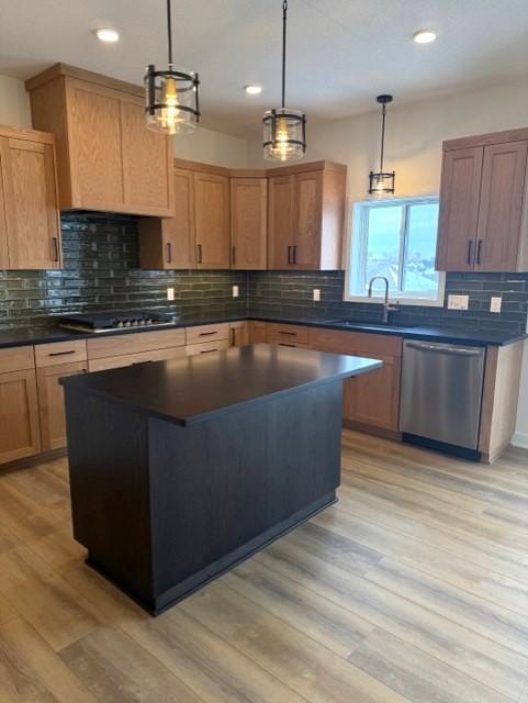 19430 Everglade Path Farmington, MN 55024 - Photo 2 of 12