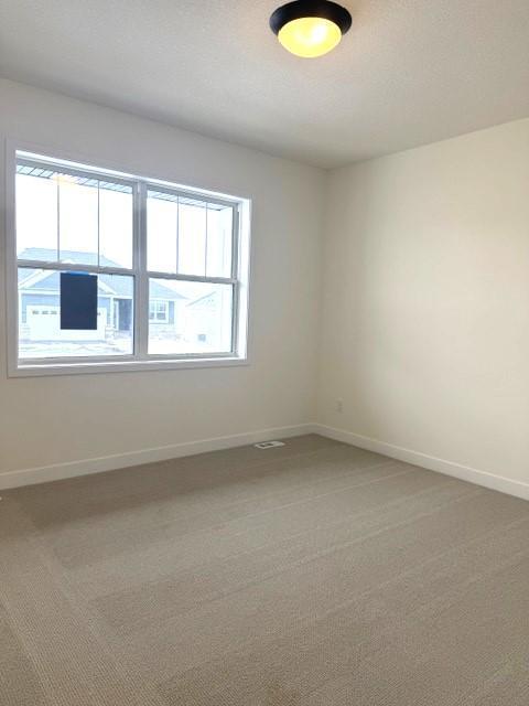 19430 Everglade Path Farmington, MN 55024 - Photo 9 of 12