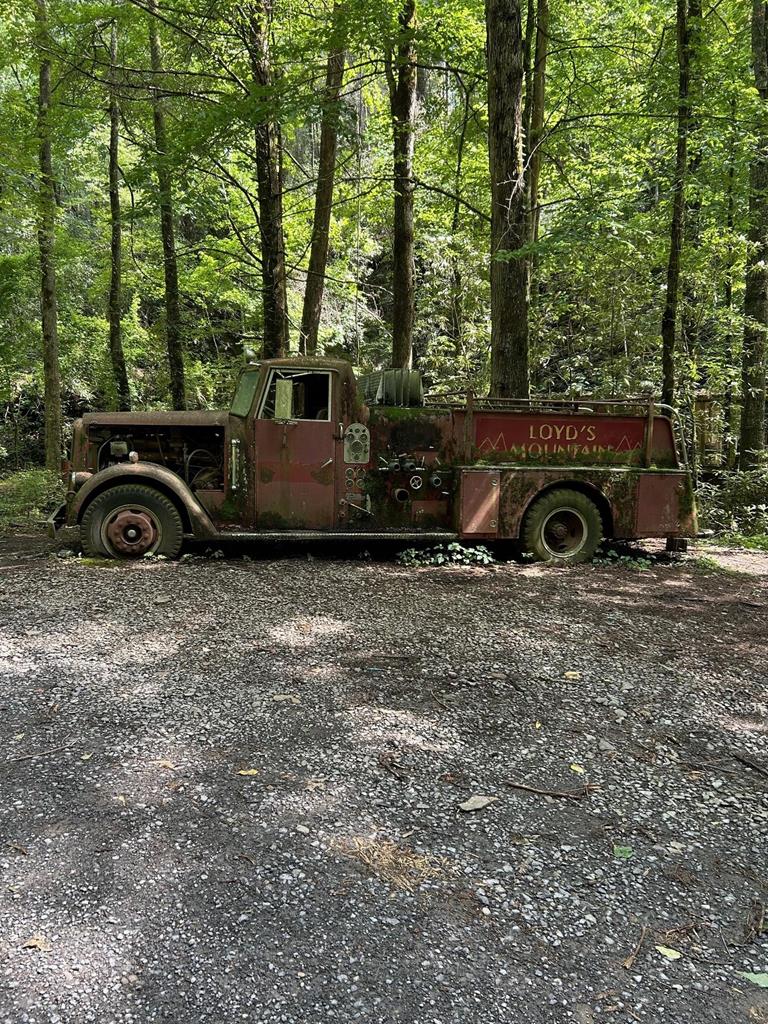 71 Cohutta Forest Road Ellijay, GA 30540 - Photo 42 of 43 Gallery Image 42