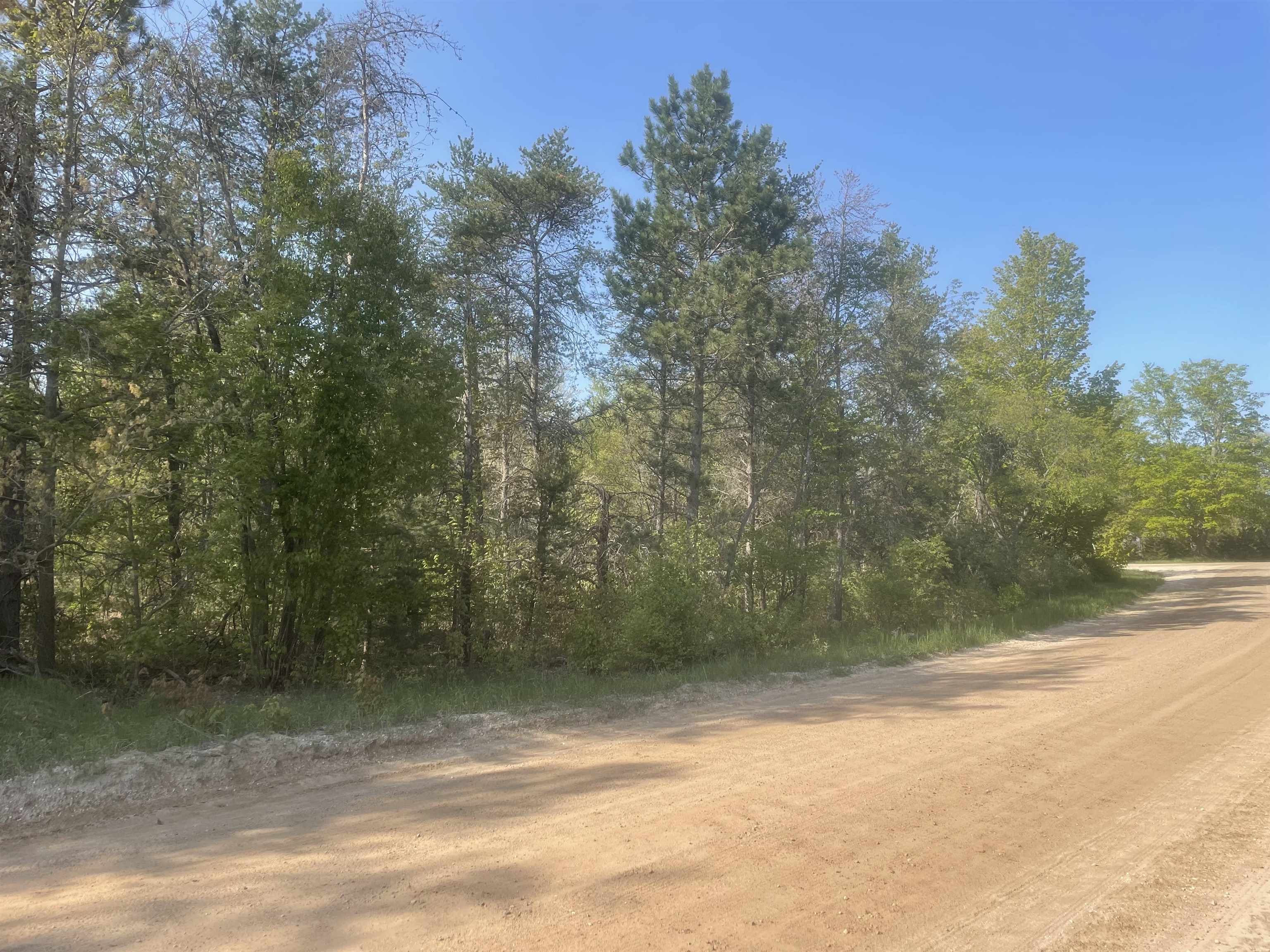 Lot B Betsie River Road Interlochen, MI 49643 - Photo 4 of 6 1909397-3.JPG
