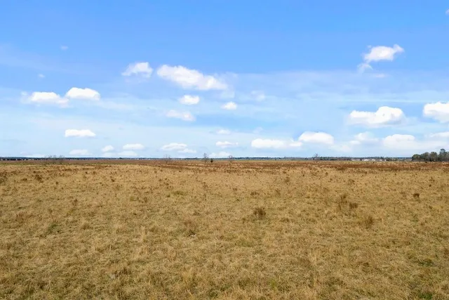 $62,500 | 0 Willie Road, Iowa, LA 70647