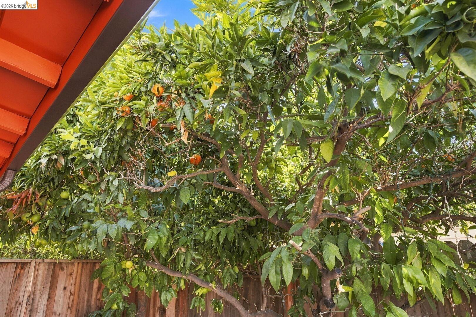68 Water Street Bay Point, CA 94565 - Photo 64 of 65 Gallery Image 64