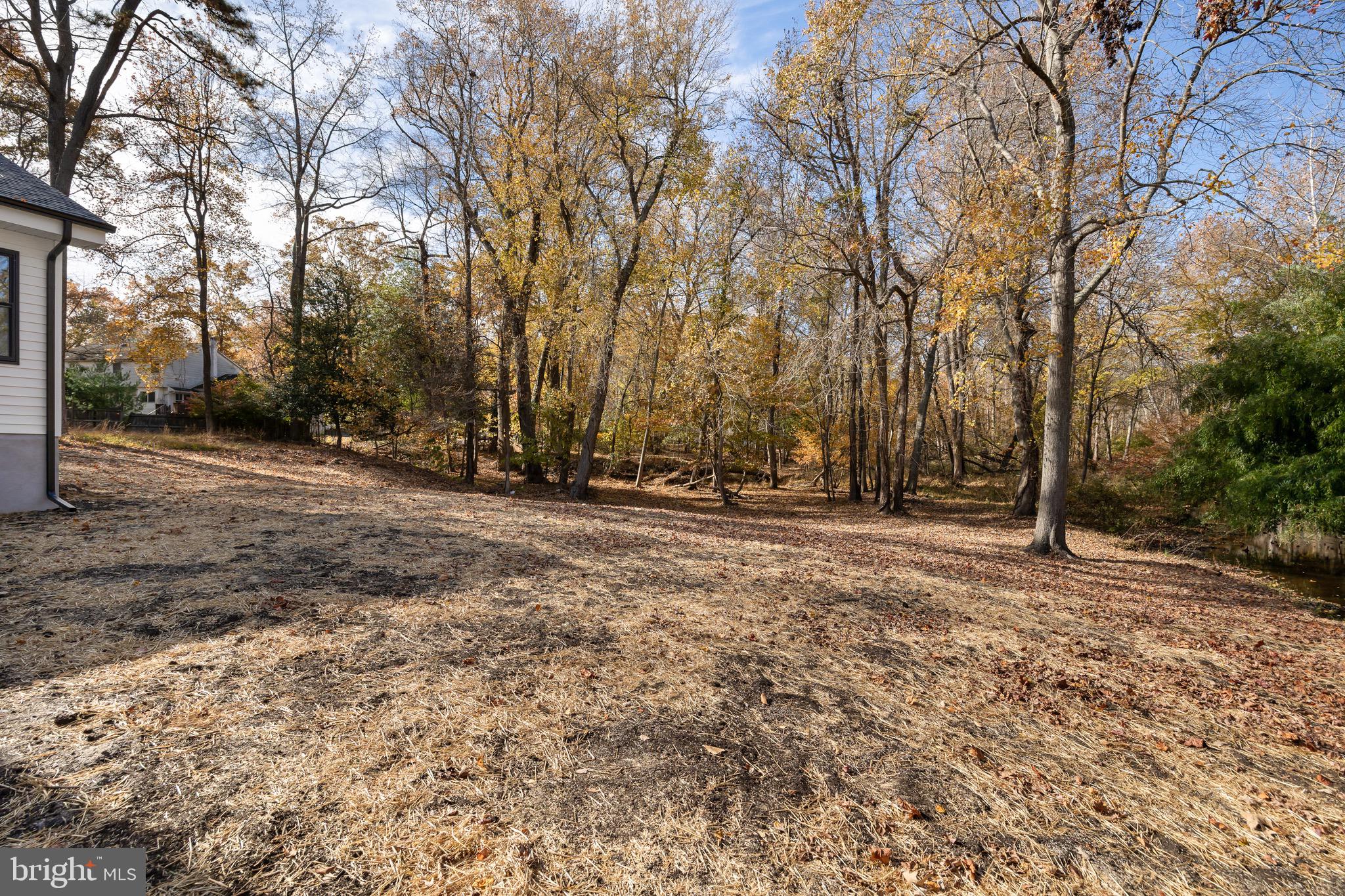 17 West Delaware Trail Medford, NJ 08055 - Photo 45 of 54 a view of outdoor space with trees