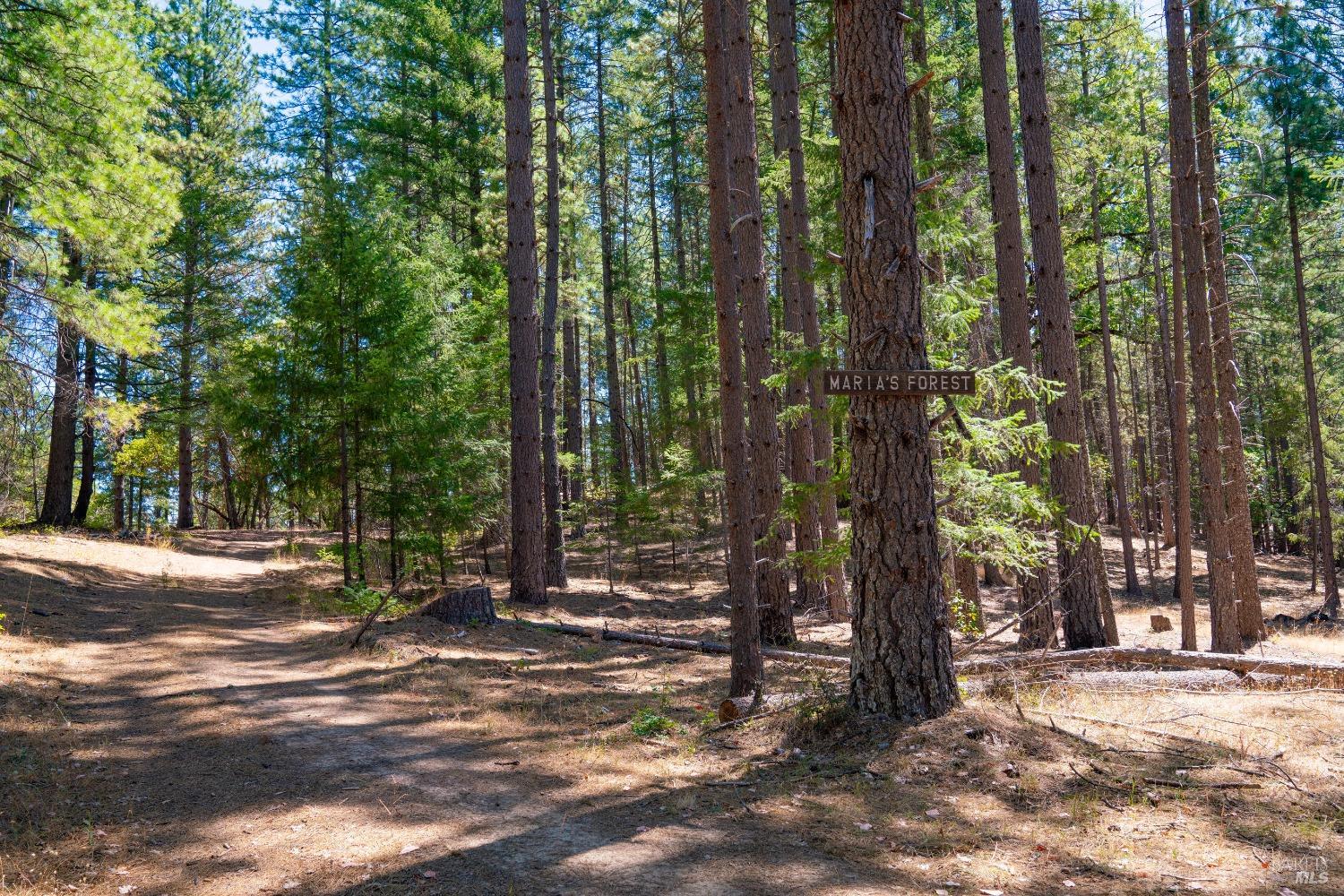 58380 Highway 162 Dos Rios, CA 95429 - Photo 39 of 62